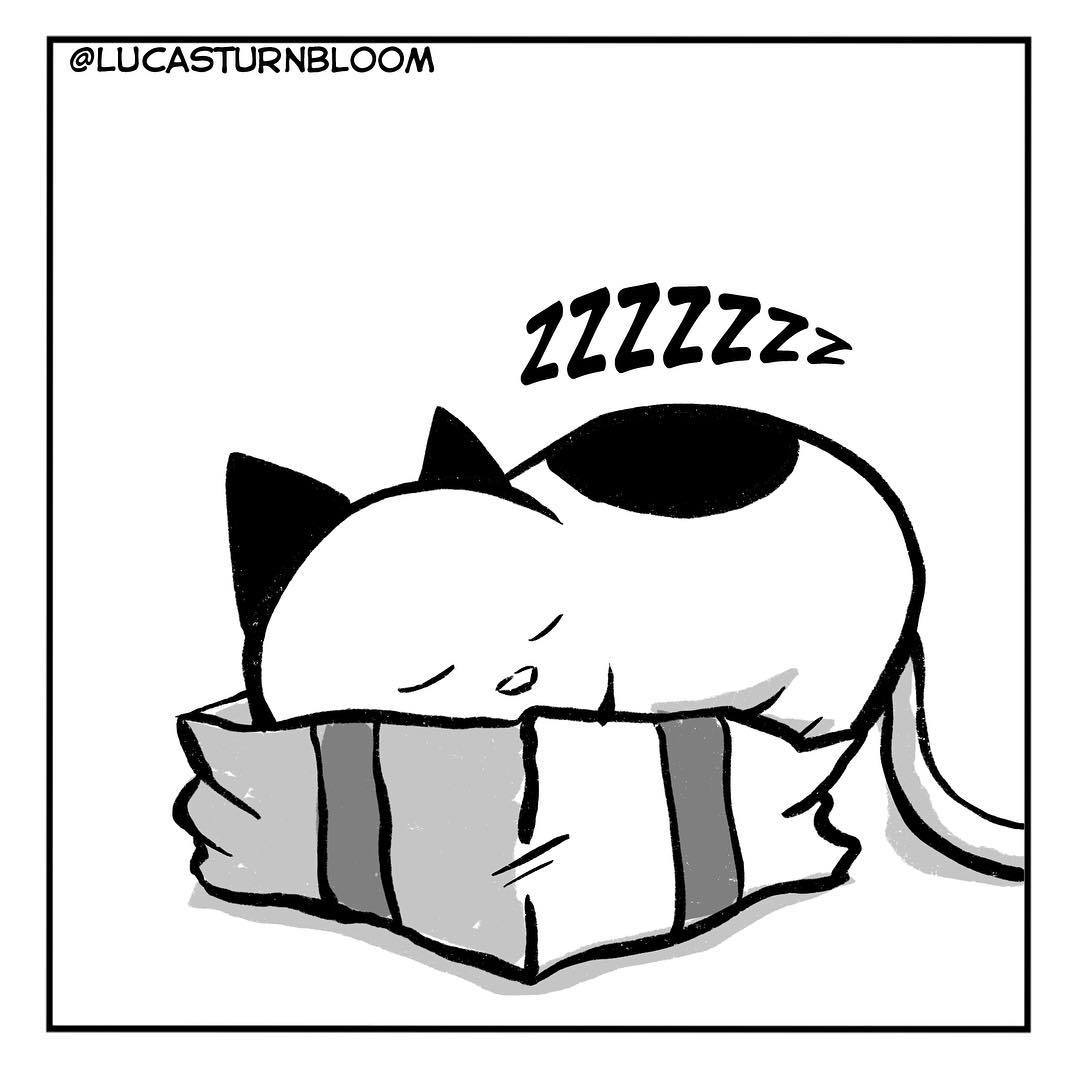 Place to sleep - Comics, Translated by myself, Howtocat, Presents, cat, Dream, Longpost, Lucas Turnbloom