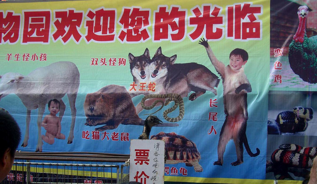 Show with the rarest animals! - Show, Mutant, China