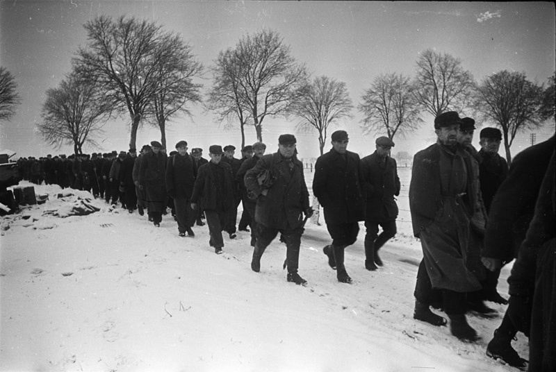 Great Patriotic War 1941-1945. - The Great Patriotic War, To be remembered, War correspondent, Shaikhet Arkadiy Samoylovich, Longpost