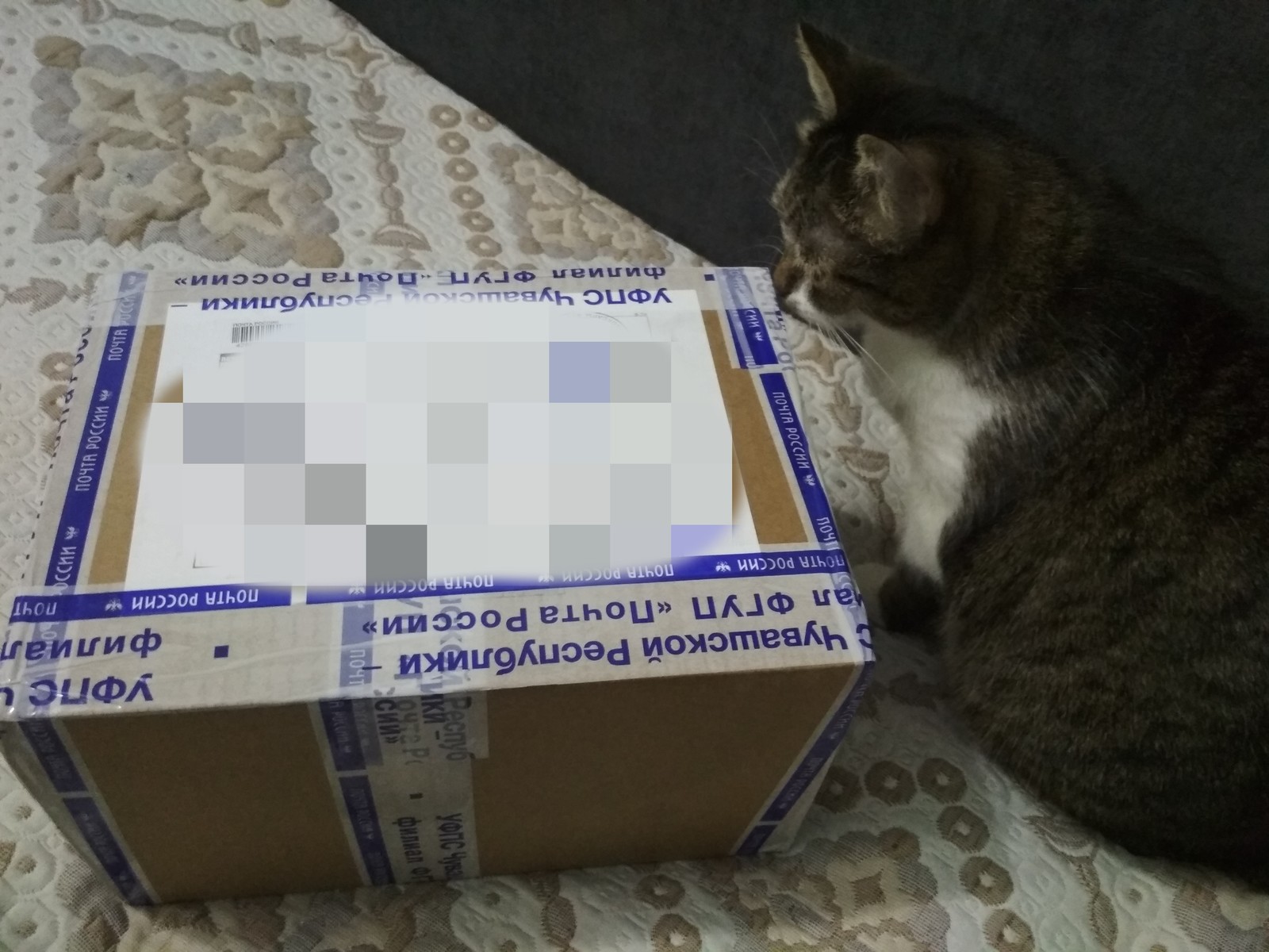 Continuation of the story of the fattened parcel - My, Gift exchange, Package, Longpost, Gift exchange report, Secret Santa