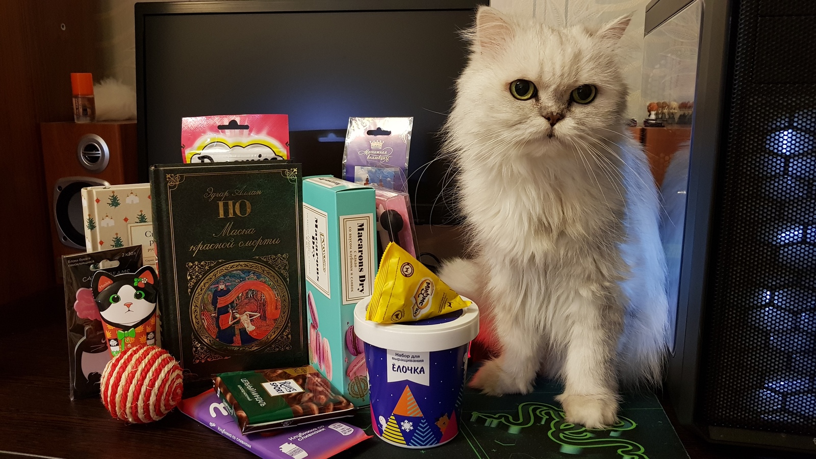 Anonymous Santa Claus - My, Gift exchange, Secret Santa, New Year, cat, New Year's gift exchange, Gift exchange report