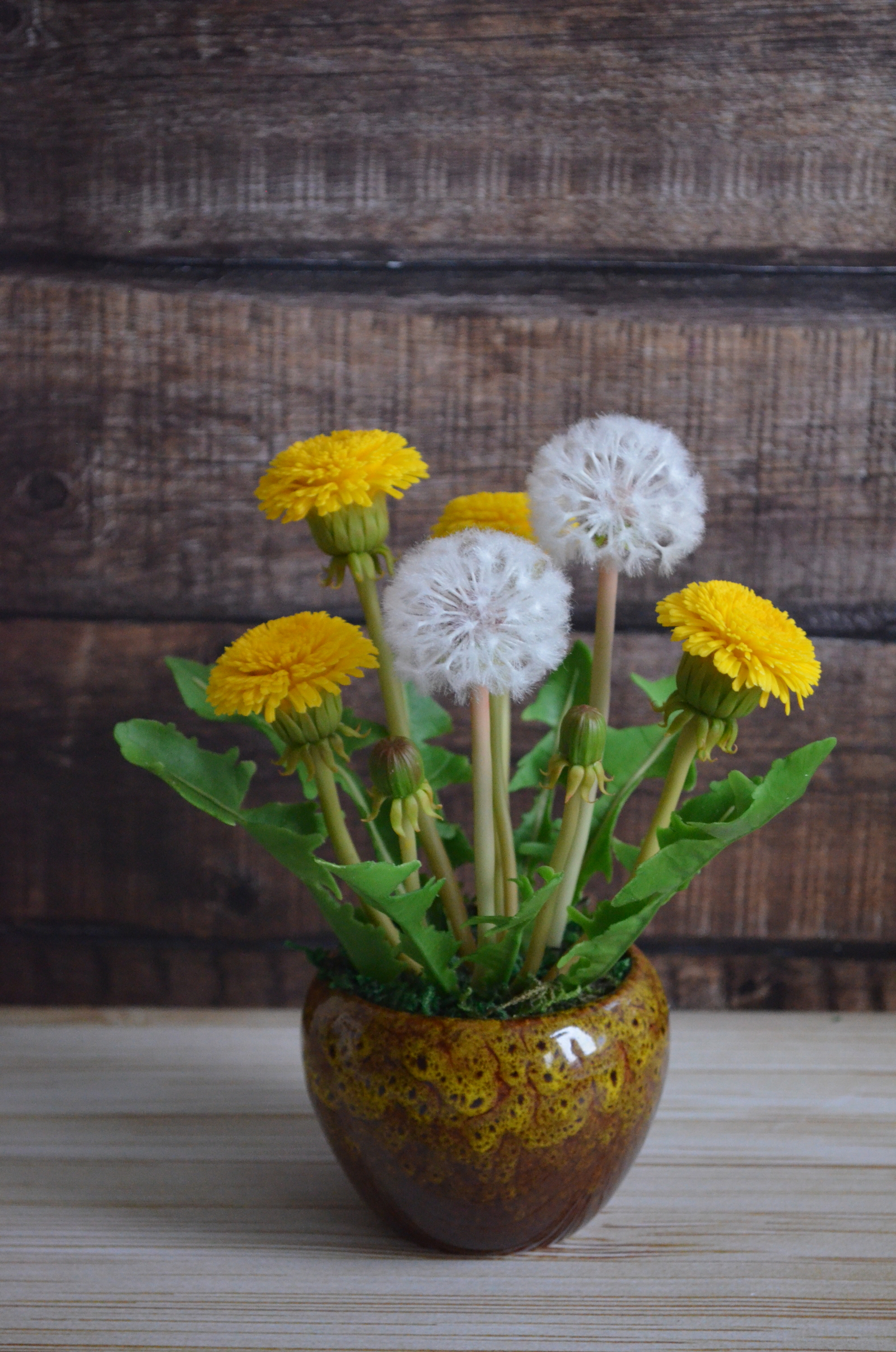 Handmade dandelions - My, With your own hands, Cold porcelain, Polymer clay, Longpost