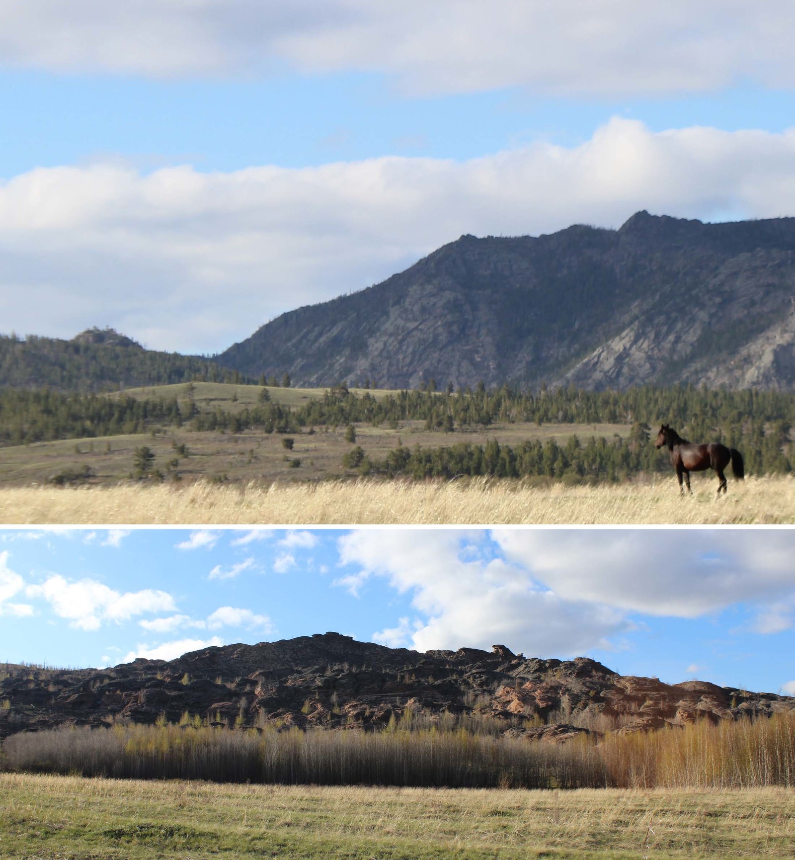 The most charming village in the Kazakh mountains - My, Longpost, Kazakhstan, Village, Nature, People