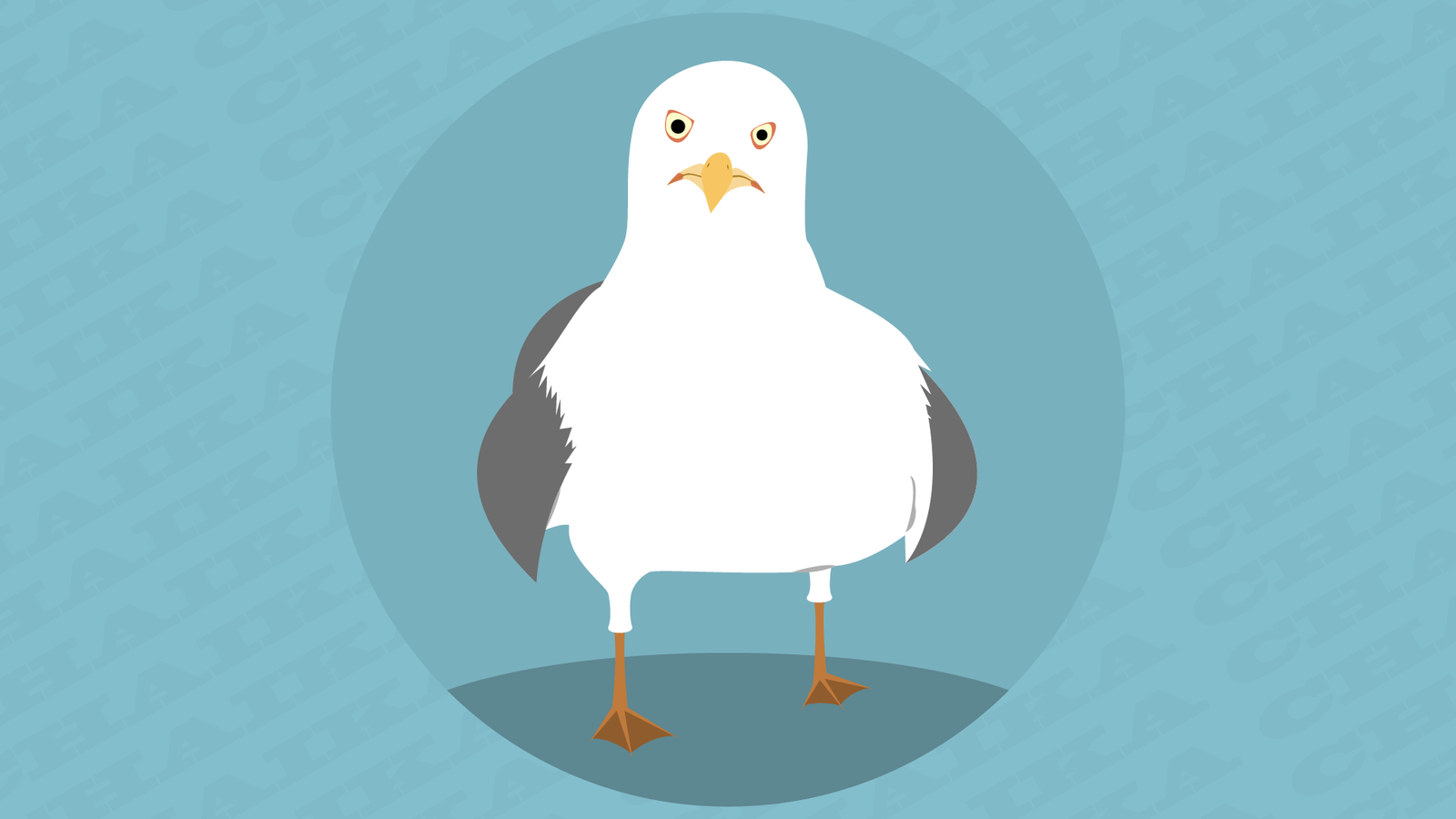 Gull - My, Adobe illustrator, , Seagulls, Minimalism, Vector graphics, Flat design