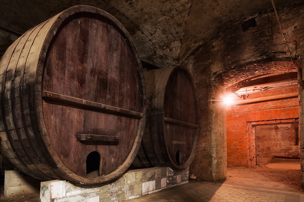 Moscow Underground, historical Empty wine cellars of Prince Golitsin - Urbanphoto, , , , Urbex, Abandoned, Longpost, Urbanturism