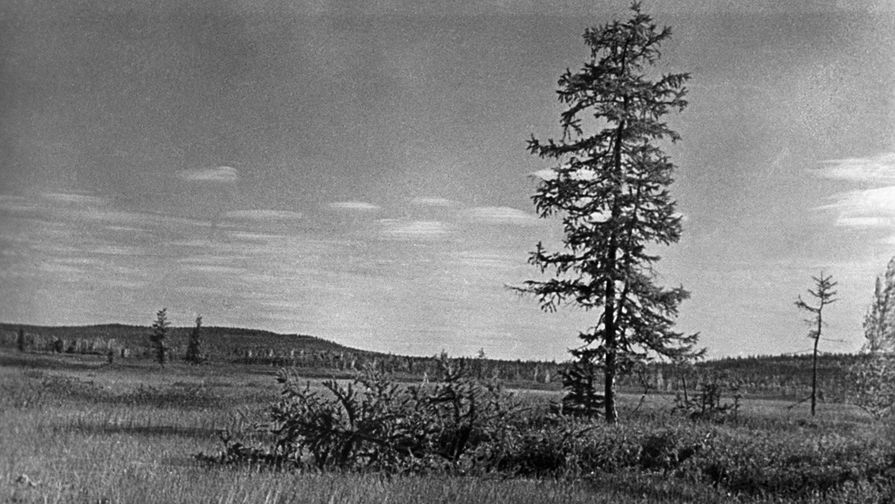 Tunguska meteorite. - Meteorite, Tunguska meteorite, Longpost