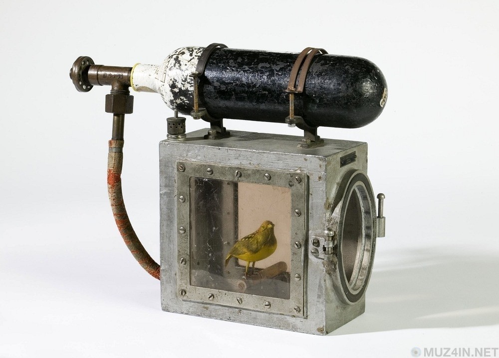 Canary resuscitator - Miners, Canary, Text, Interesting, Birds, Resuscitator, Longpost