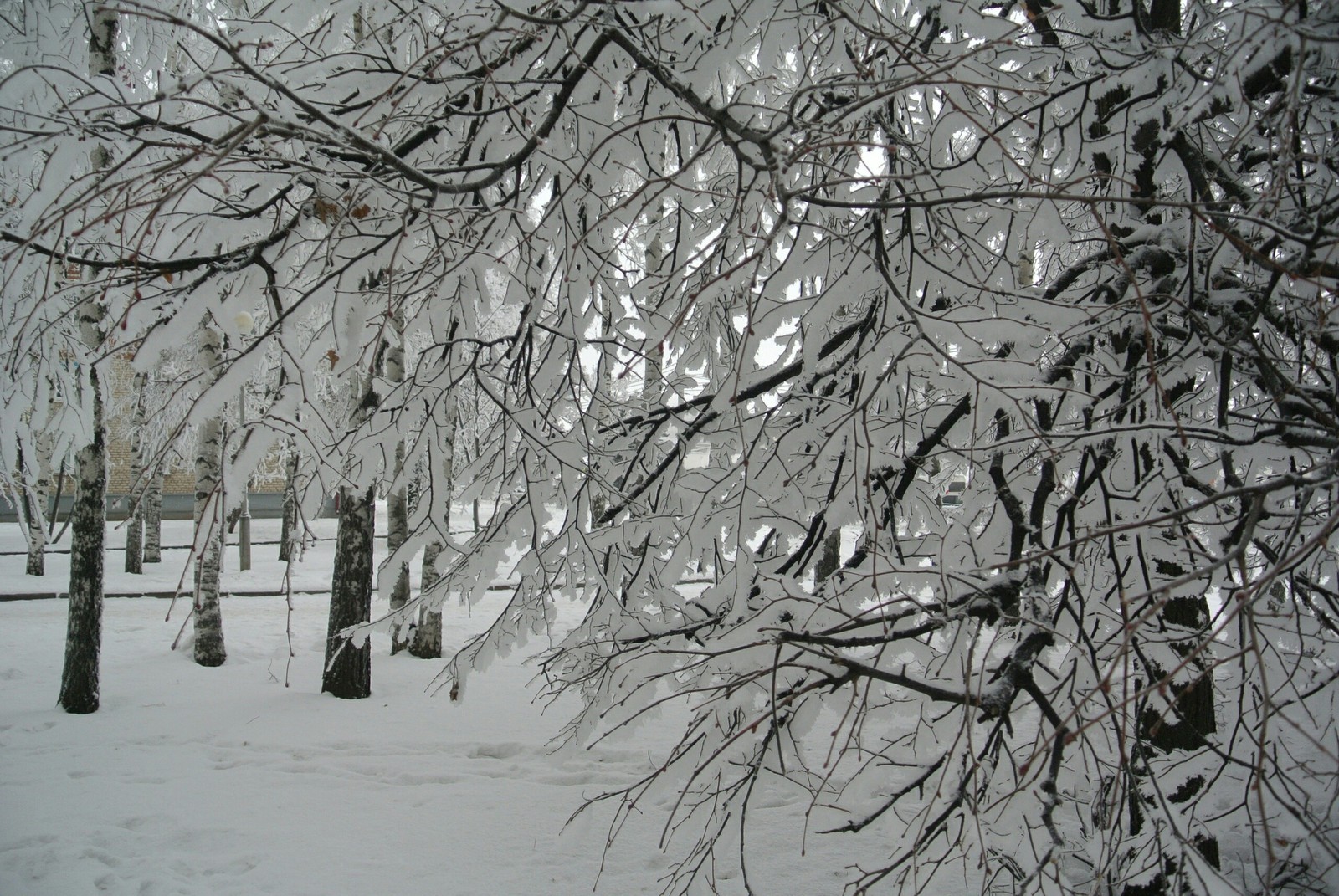 Snowy Cheboksary. - My, Nature, Cheboksary, Winter, Longpost, The photo