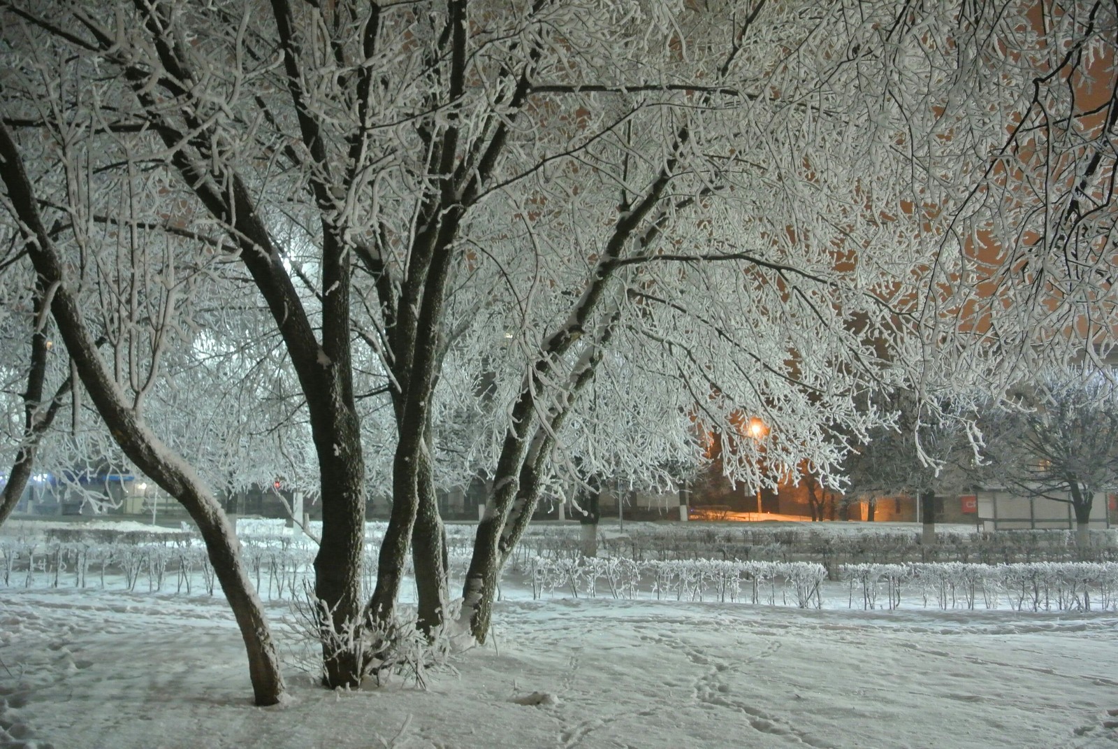 Snowy Cheboksary. - My, Nature, Cheboksary, Winter, Longpost, The photo