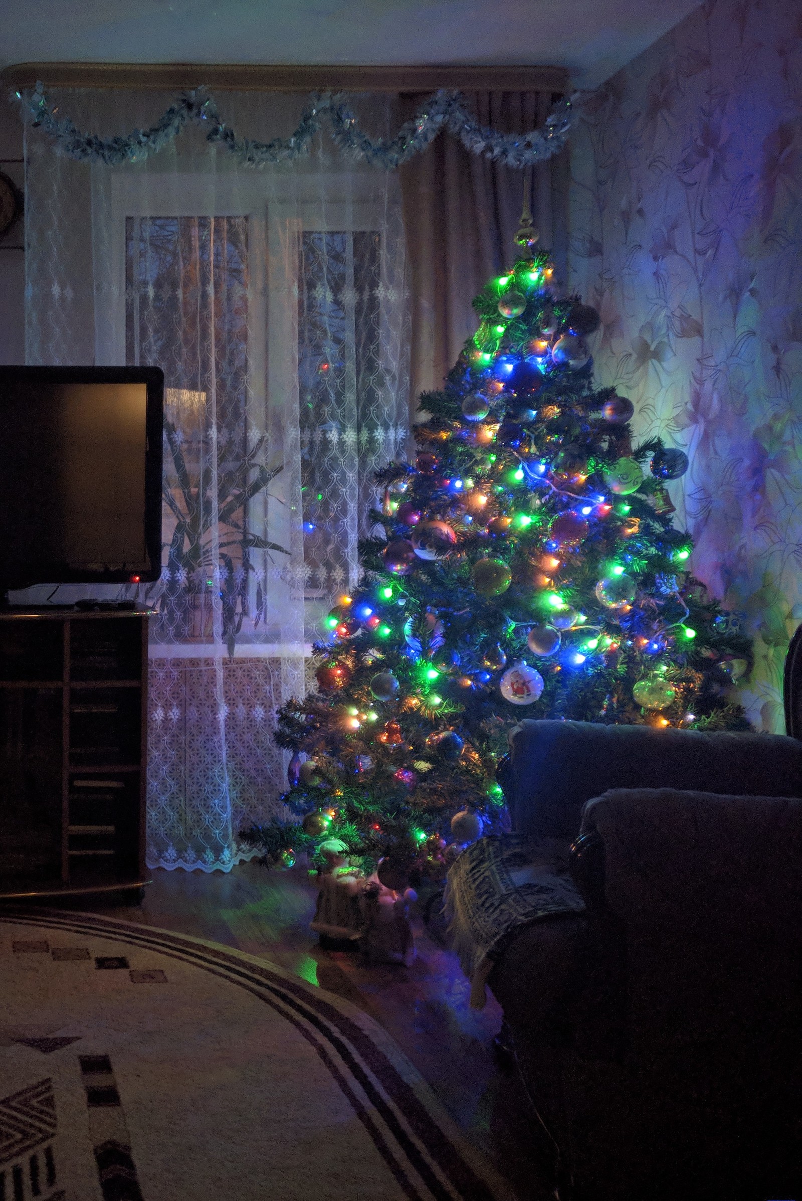 Darius and Christmas tree - My, Darius, Maine Coon, New Year, Christmas tree, Prank, Toys, Catomafia, Longpost, cat