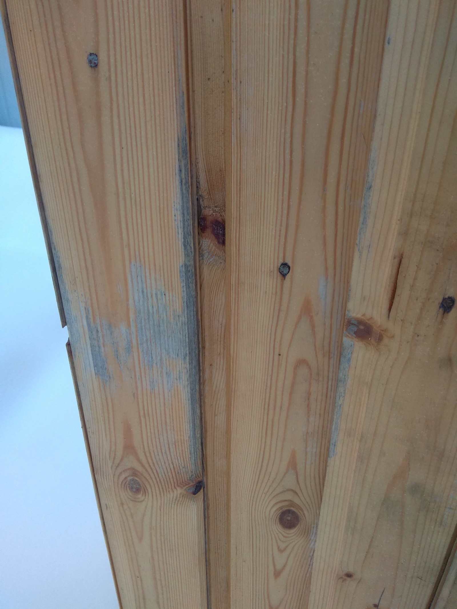 Mold under the varnish!? - My, Building, Mold, Longpost