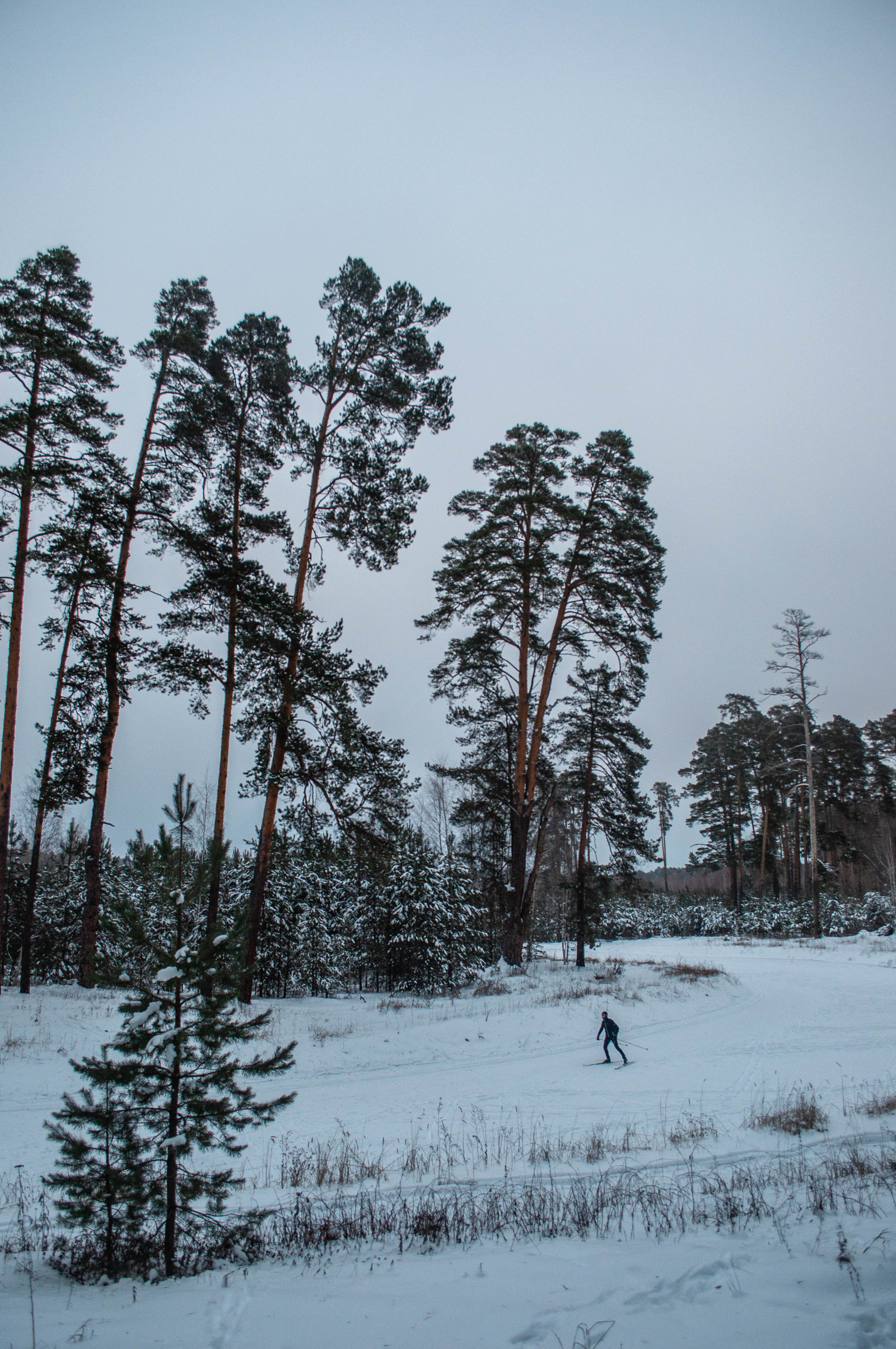 Photo walk. - My, The photo, Landscape, Winter, Nature, Hike, Russia, Kazan, Lebyazhye, Longpost