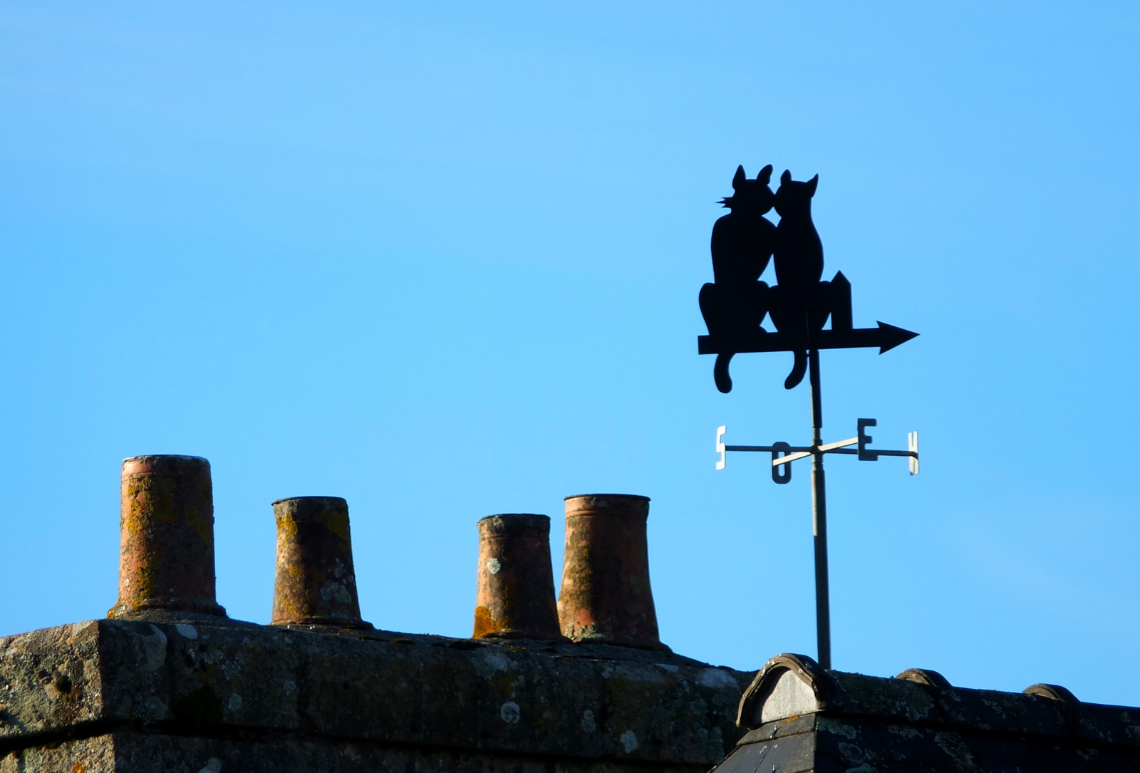 Cat. Fish. And other inhabitants of the Norman roofs - My, Normandy, Vane, Text, Positive, Longpost