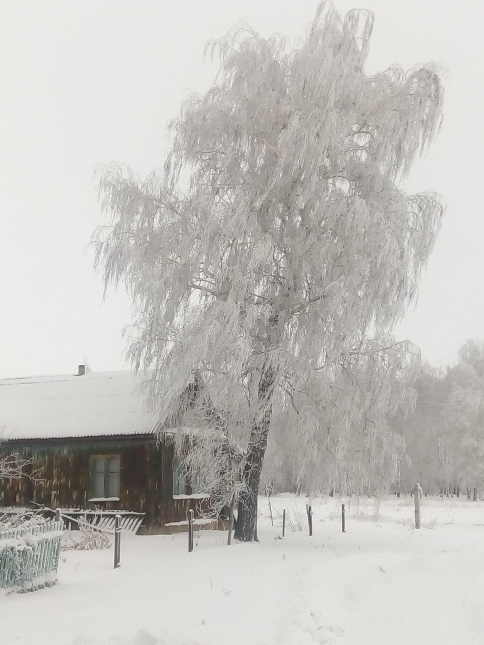 Winter in the wilderness - My, Village, Snow, The photo