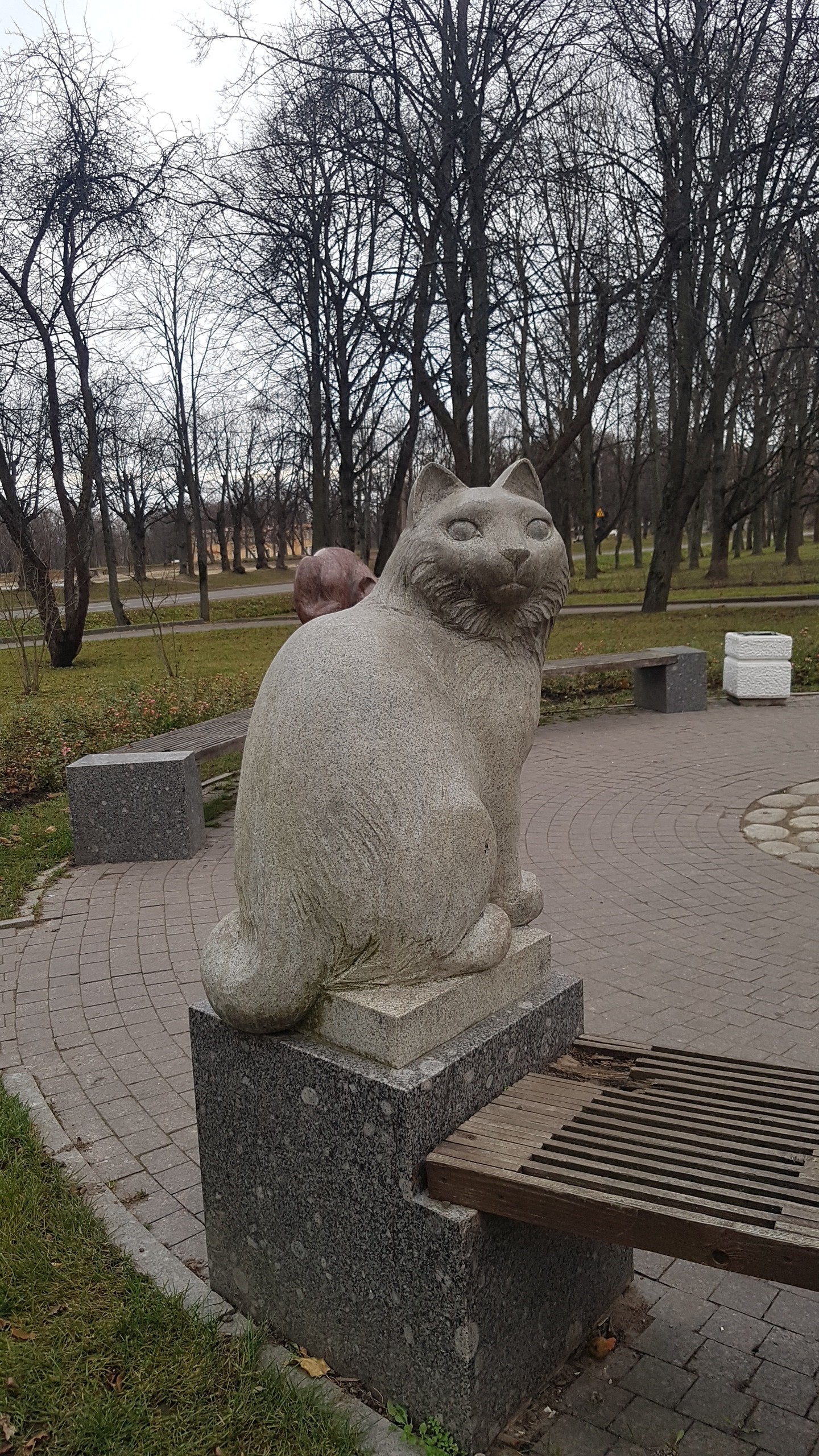 Peterhof seals - Saint Petersburg, Peterhof, cat, Longpost