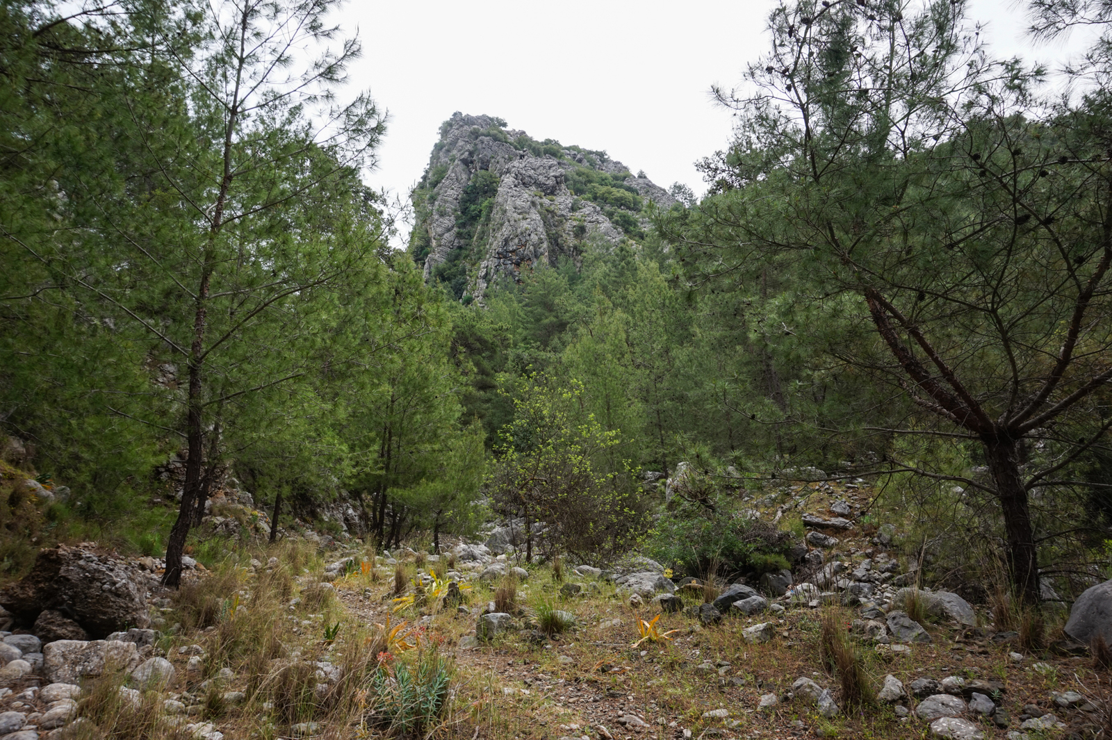 Lycian Way Day 5 - My, Lycian Trail, Turkey, Hike, Chimera Lights, Longpost