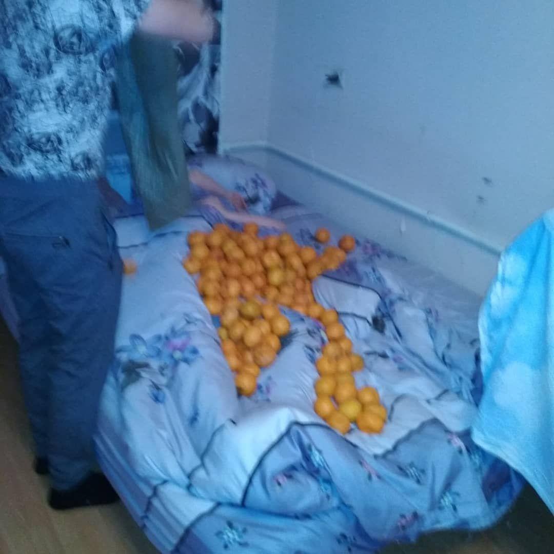 Fall asleep!) FATALITY)) - My, Tangerines, New Year, , Longpost