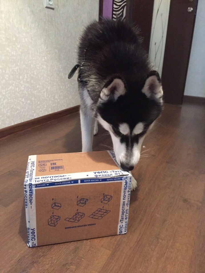 Parcel from Naberezhnye Chelny - My, Secret Santa, Package, Longpost, Gift exchange, Gift exchange report