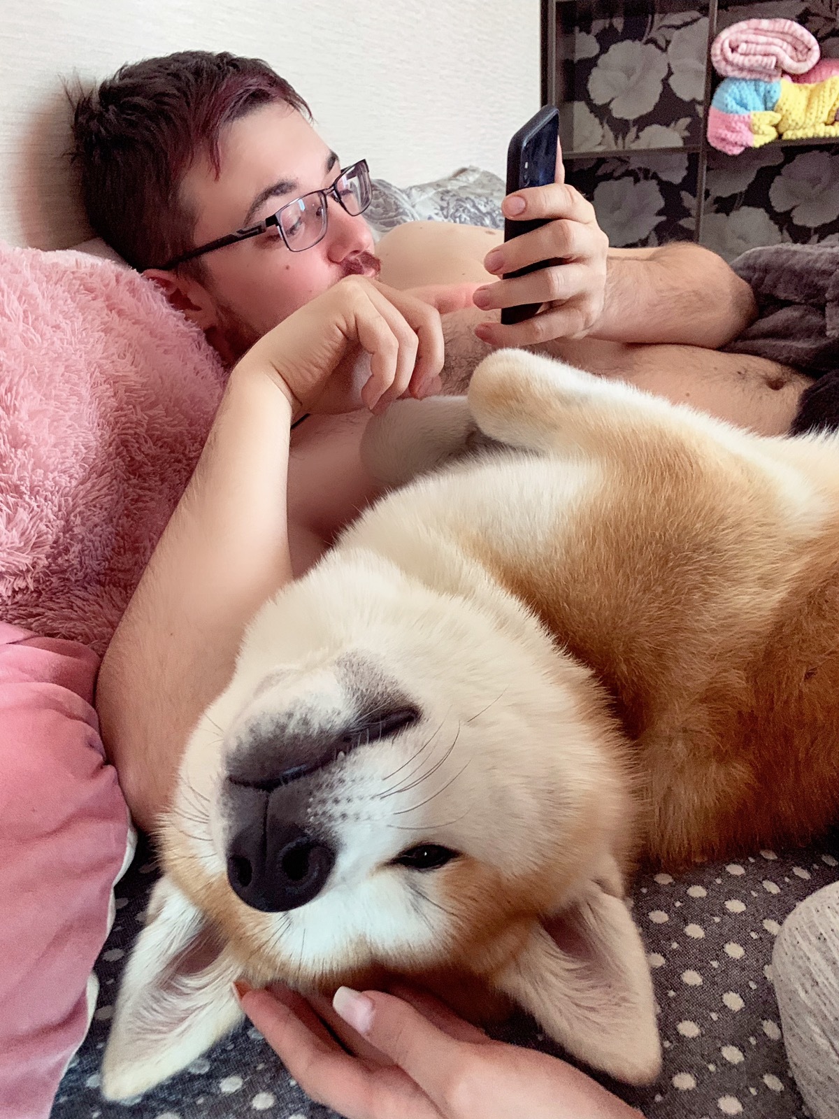 Me and Akita Inu - My, Akita inu, , Dog, , Fucking puppy, Longpost