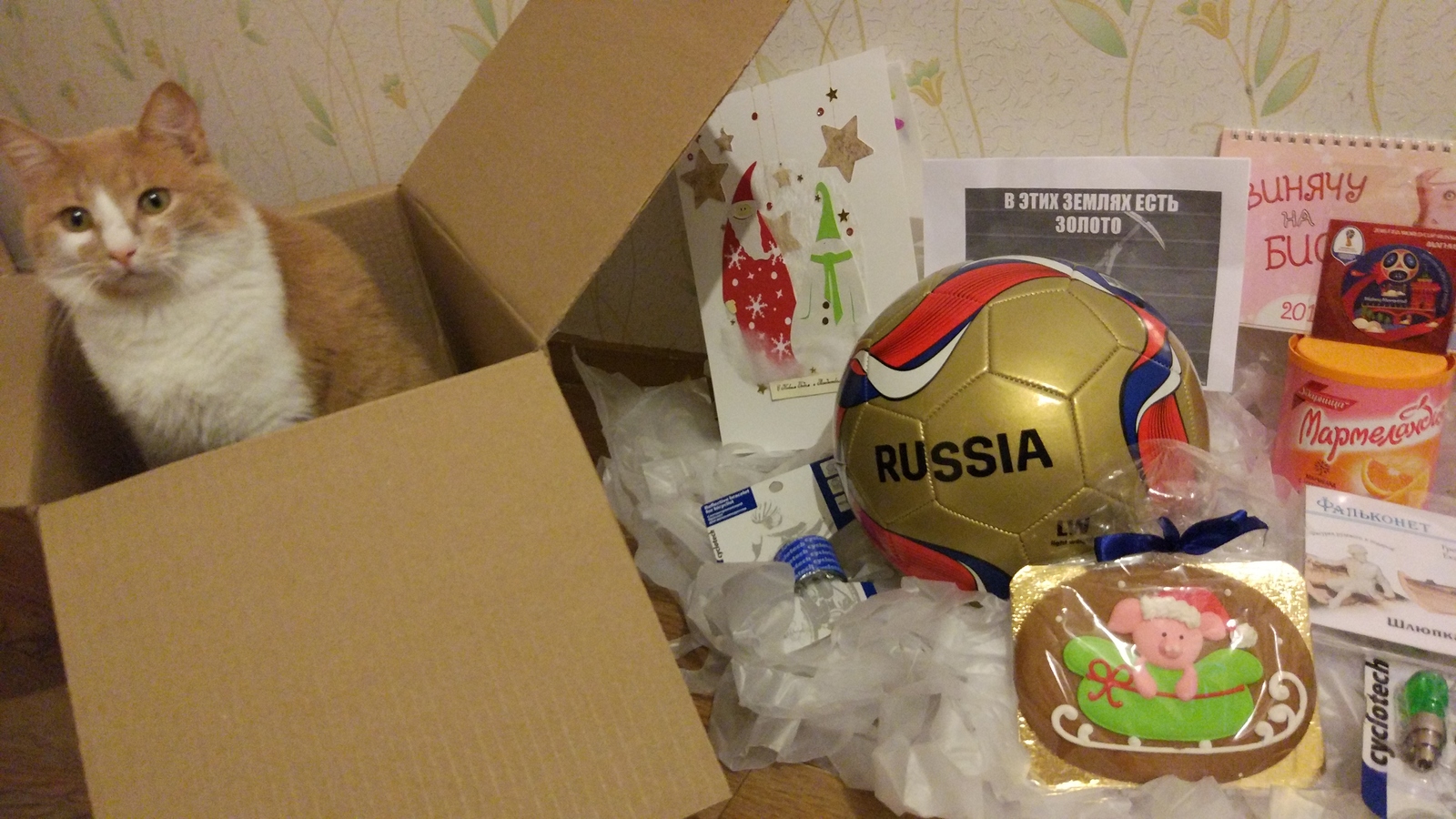 ADM Moscow - Minsk - My, Gift exchange, Gift exchange report, Secret Santa, Longpost, Dog, cat