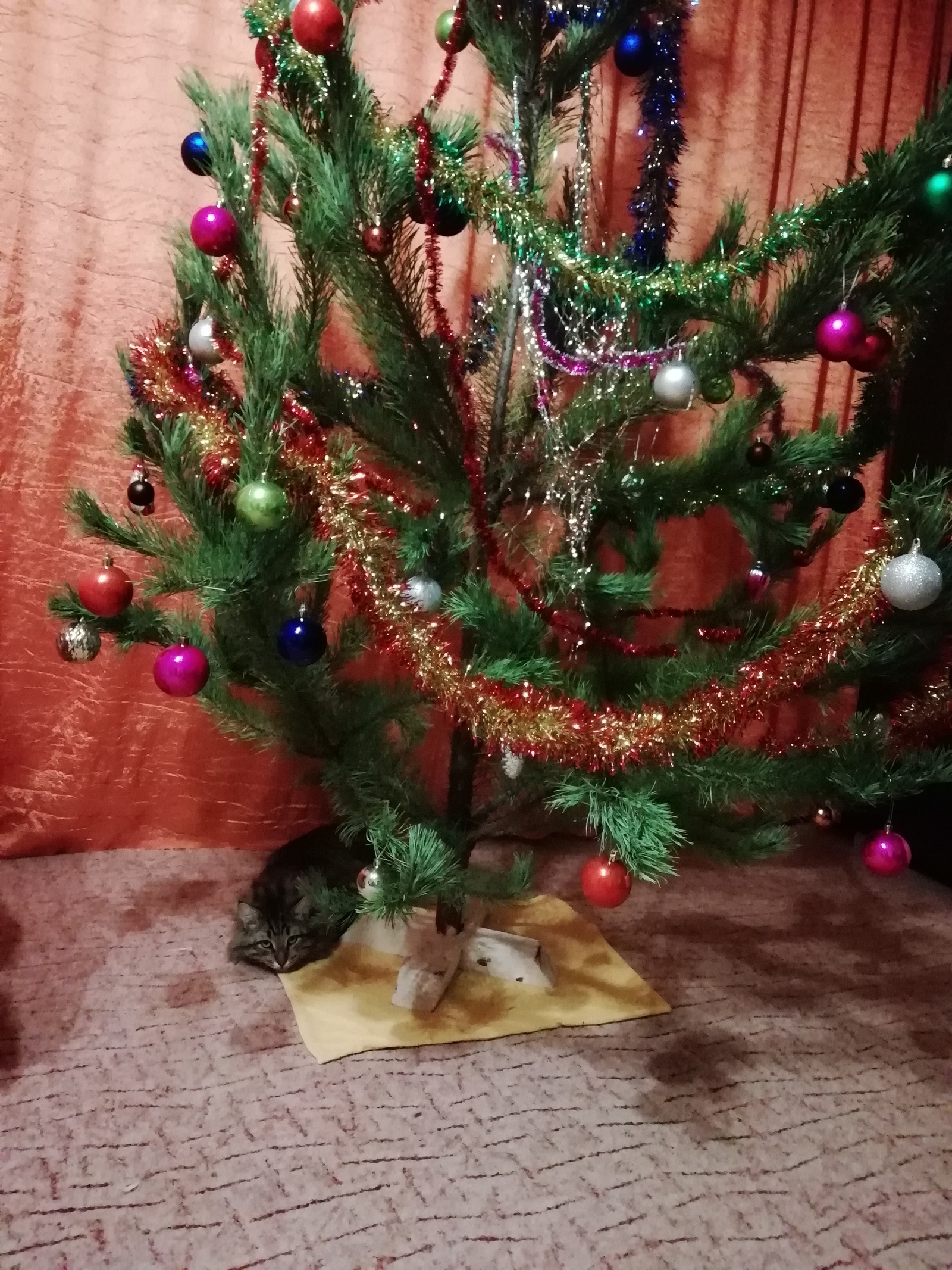 Новогоднее Дерево
