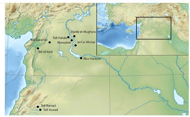 Where did the Slavs come from? - My, , Yamnaya culture, Indo-Europeans, Story, , R1b, R1a, Germans, Longpost, Origin