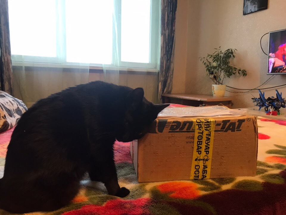 Thank you, Santa Claus from Kazakhstan! - Gift exchange, New Year's gift exchange, Secret Santa, Gift exchange report, Longpost