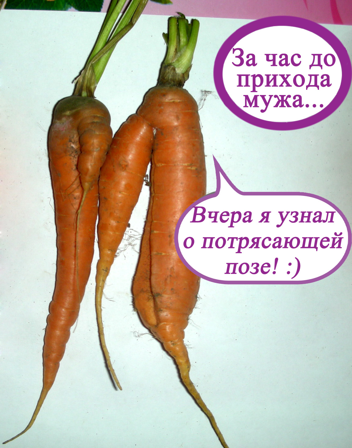 Age of Vegetables - My, Vegetables, , Longpost, GIF