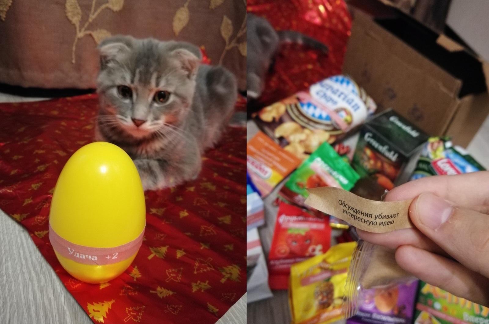 Gift from anonymous Santa Claus) - My, Secret Santa, New Year's gift exchange, New Year, Longpost, Gift exchange report, cat, Gift exchange