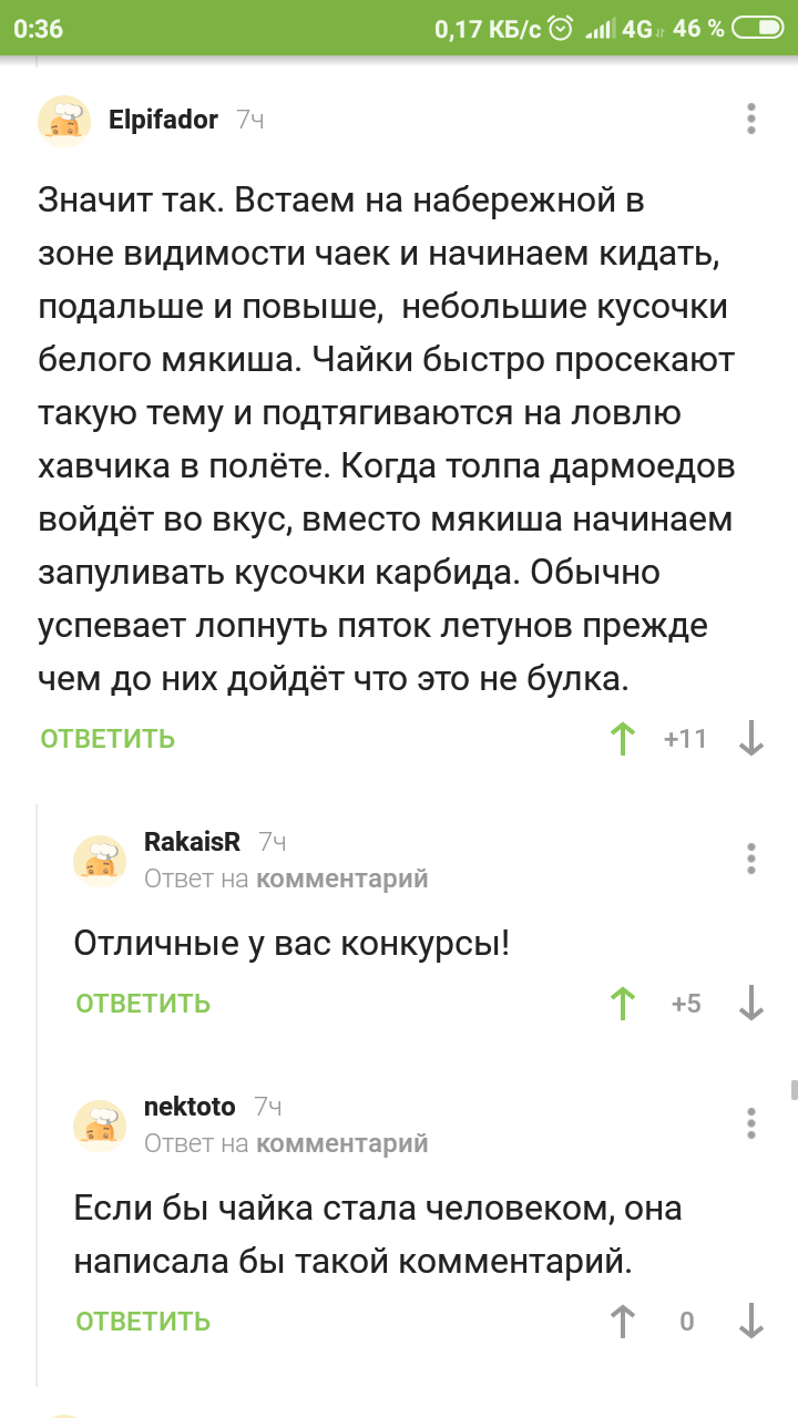 А парень умеет развлекаться. - Скриншот, Комментарии, Чайки, Бум