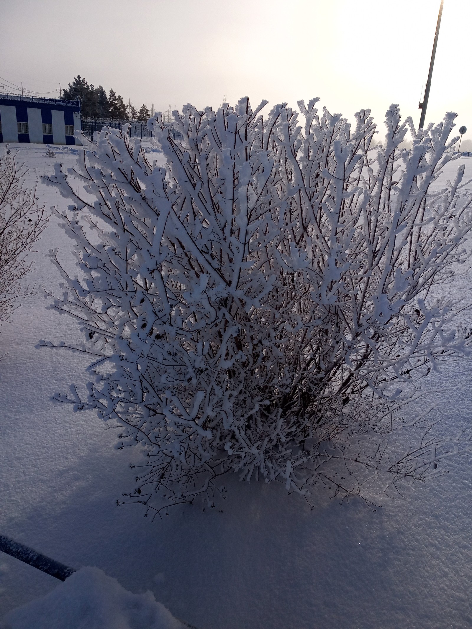 country winter - My, Winter, Snow, white white, Village, Longpost