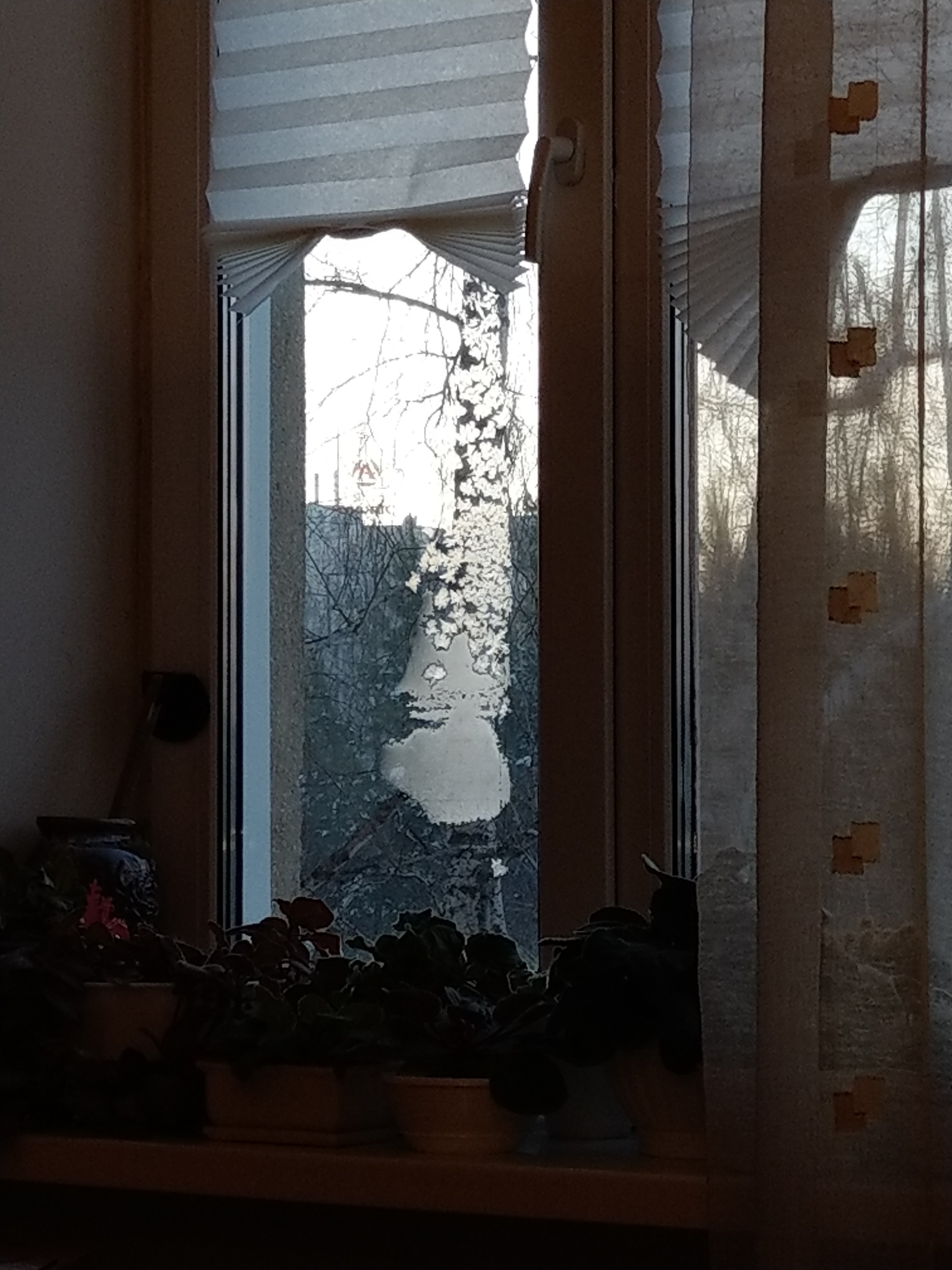 Snow Maiden on the window. - My, The photo, Pareidolia, Frost, Window, Snow Maiden, freezing