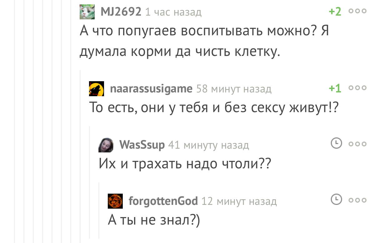 Бедные пташки - Попугай, Птицы, Уход, Комментарии, Пикабу, Скриншот, Комментарии на Пикабу