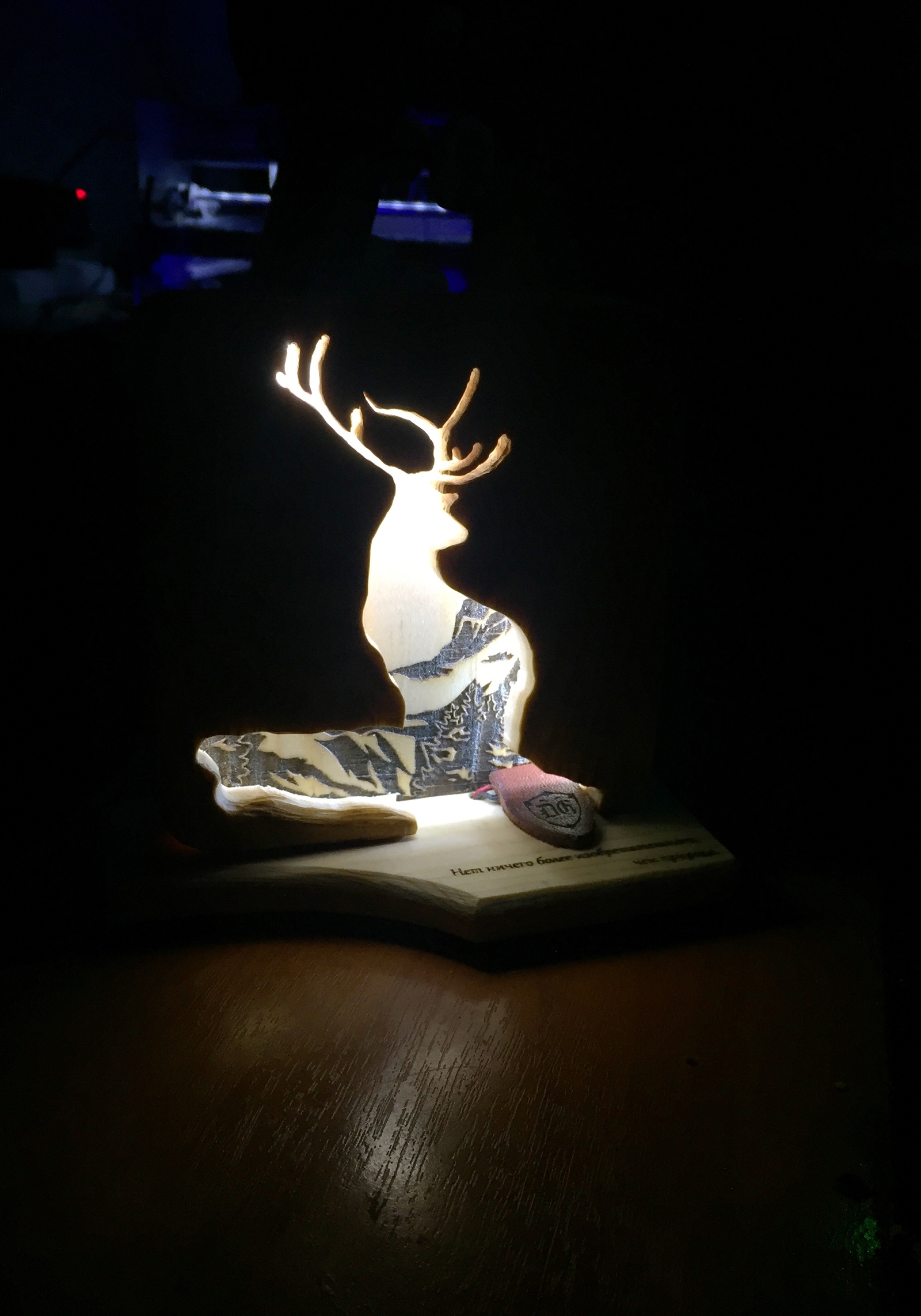 Night light as a gift - My, Presents, Nature, With your own hands, Wood products, Needlework, Night light, Longpost