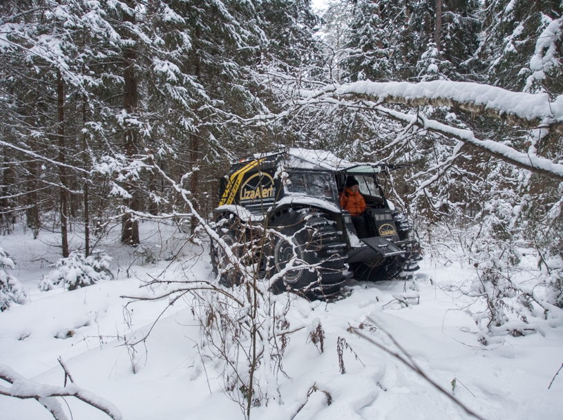 How will you celebrate the New Year ... (winter search in the forest) - My, Lisa Alert, Longpost, New Year, Sherpa, Sherp, Missing person, VPSO Owl, Video