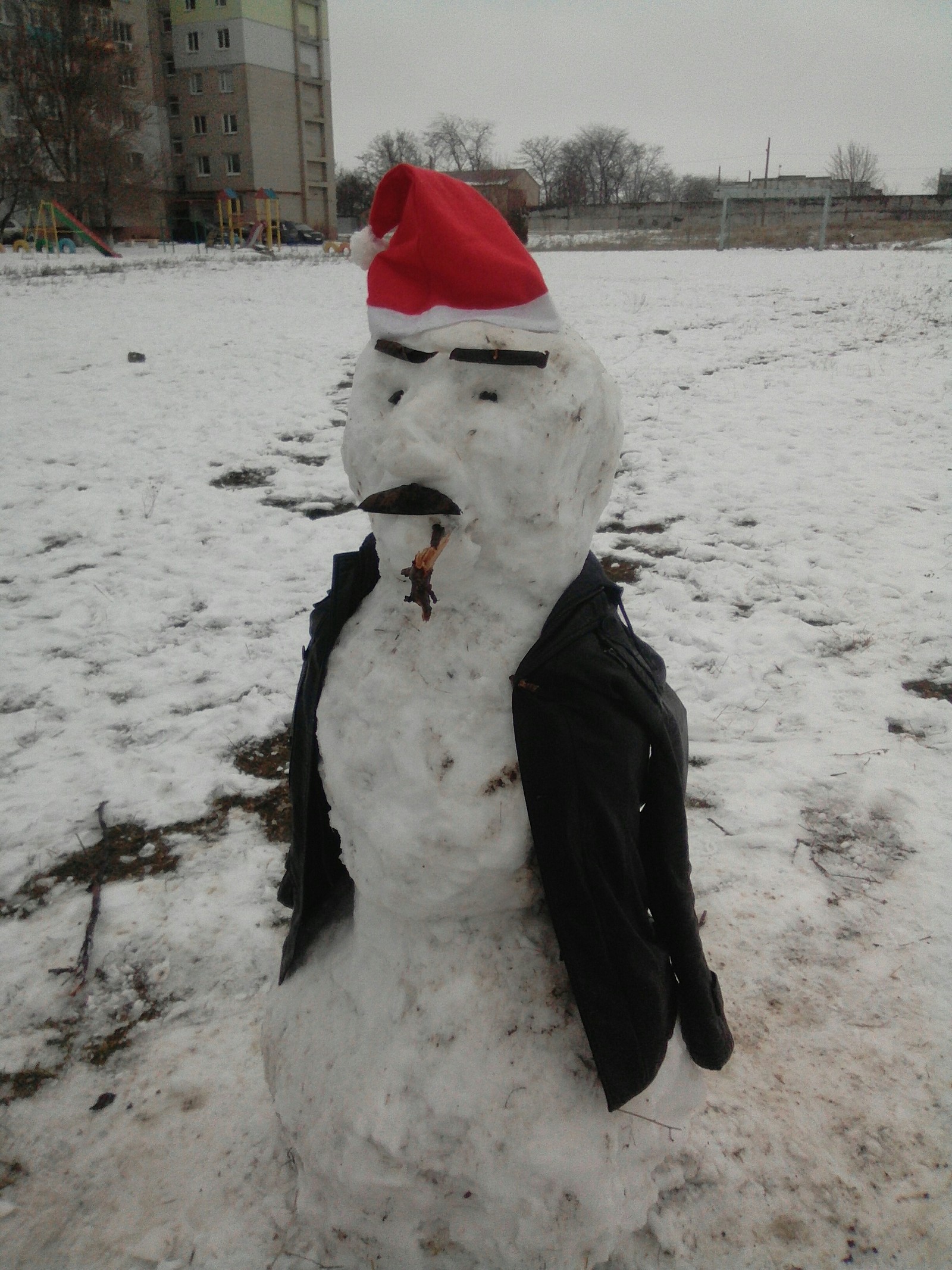 Made a snowman for the kids - My, snowman, Cattle, Longpost