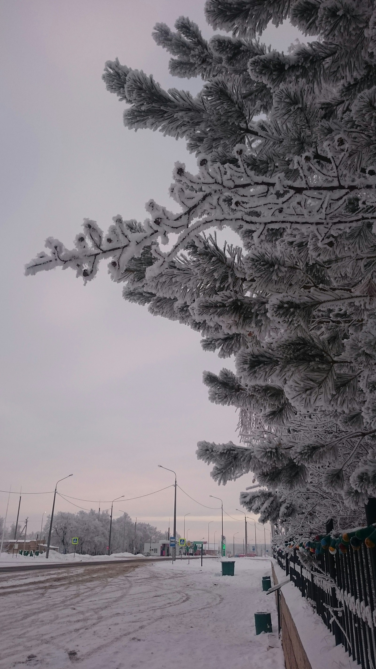 After the winter mist - My, The photo, New Year, Nature, Longpost