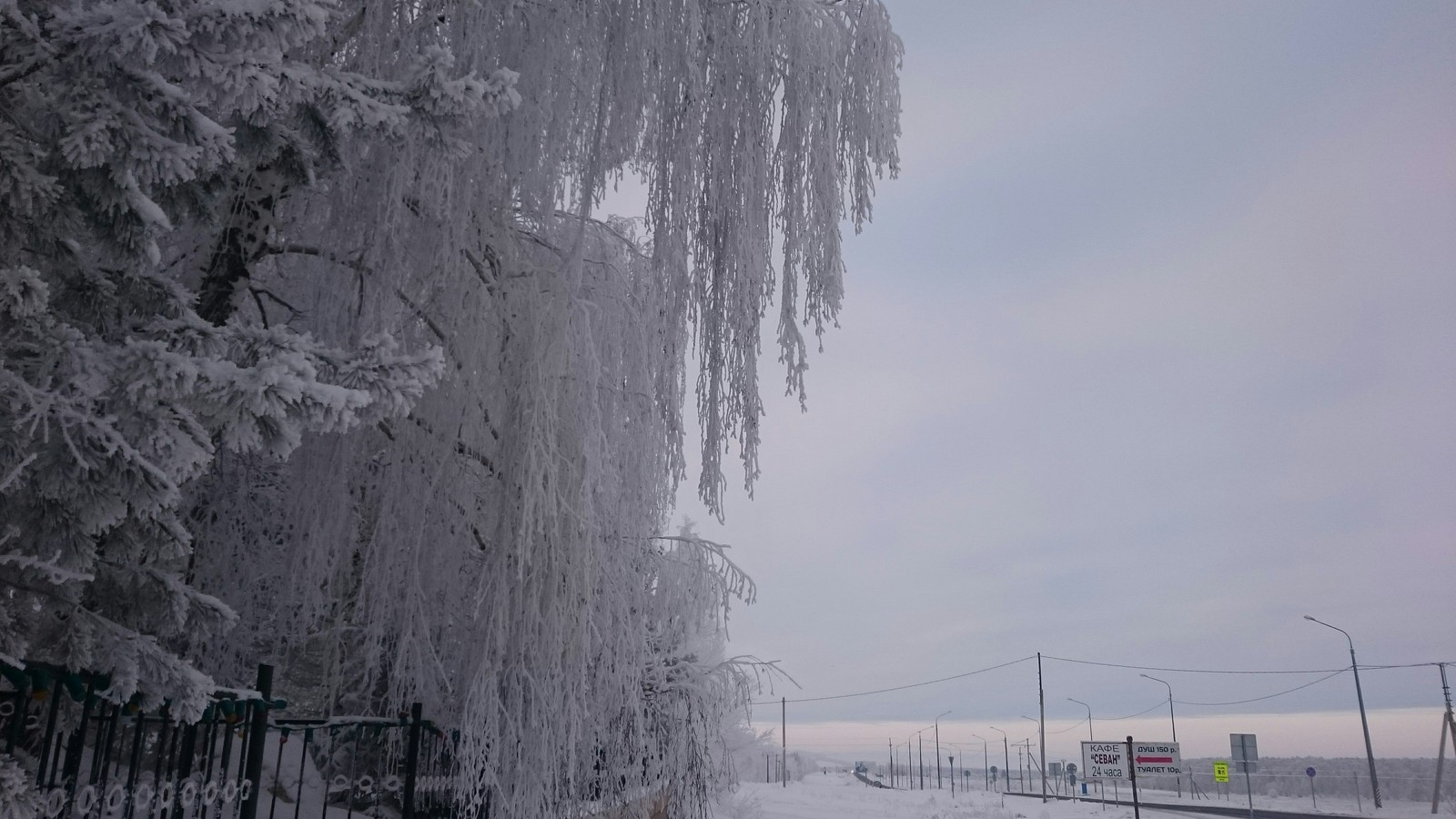 After the winter mist - My, The photo, New Year, Nature, Longpost