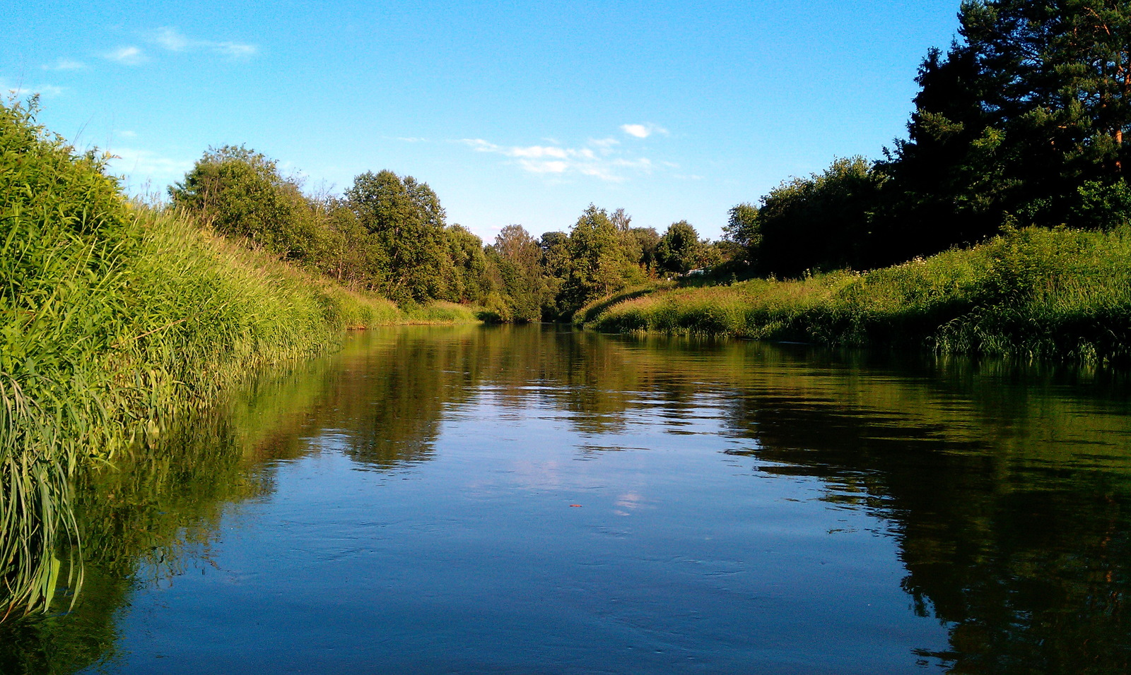 Small river - My, River, Подмосковье, , Krasnoarmeysk, Longpost