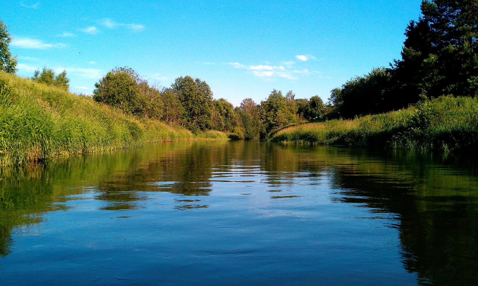 Small river - My, River, Подмосковье, , Krasnoarmeysk, Longpost