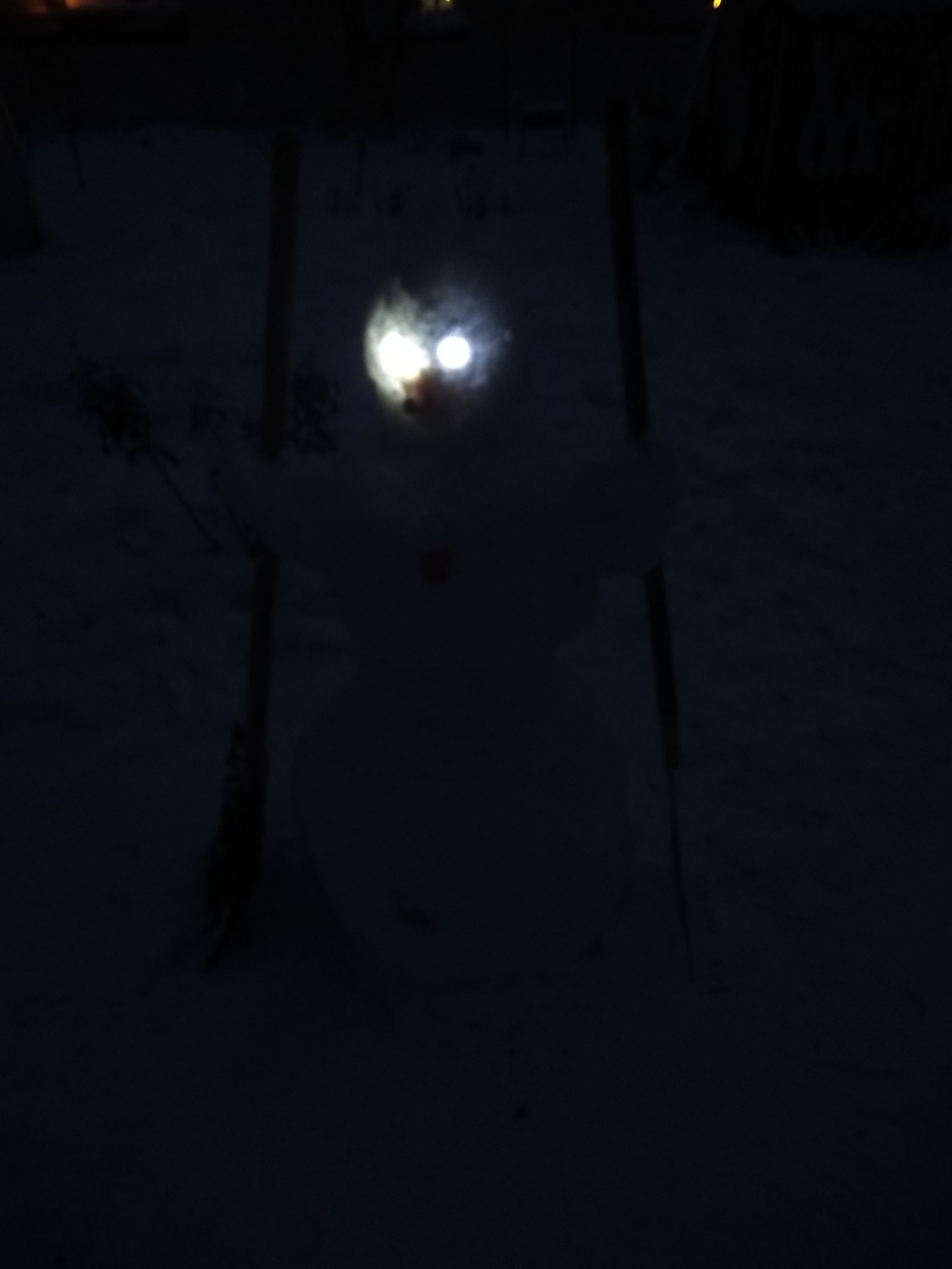 Kripovik - My, snowman, New Year, Vzhuh, Longpost