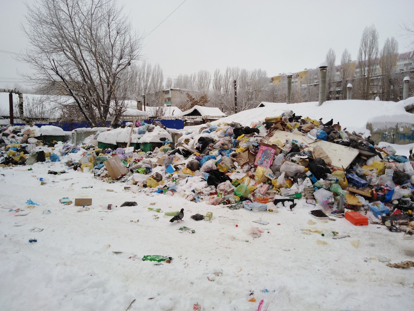 Garbage collection in Saratov 3. 01.2019 - My, Garbage, Sarcasm, Longpost