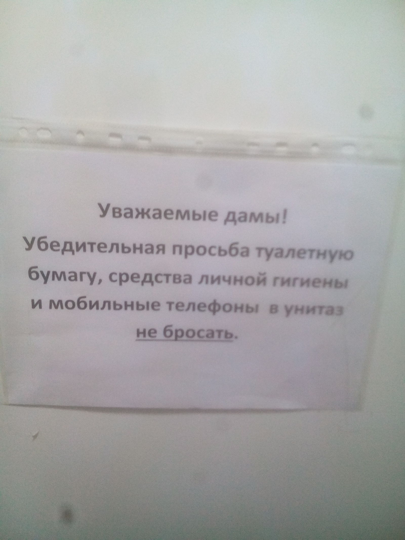 Что нельзя кидать в унитаз? | Пикабу