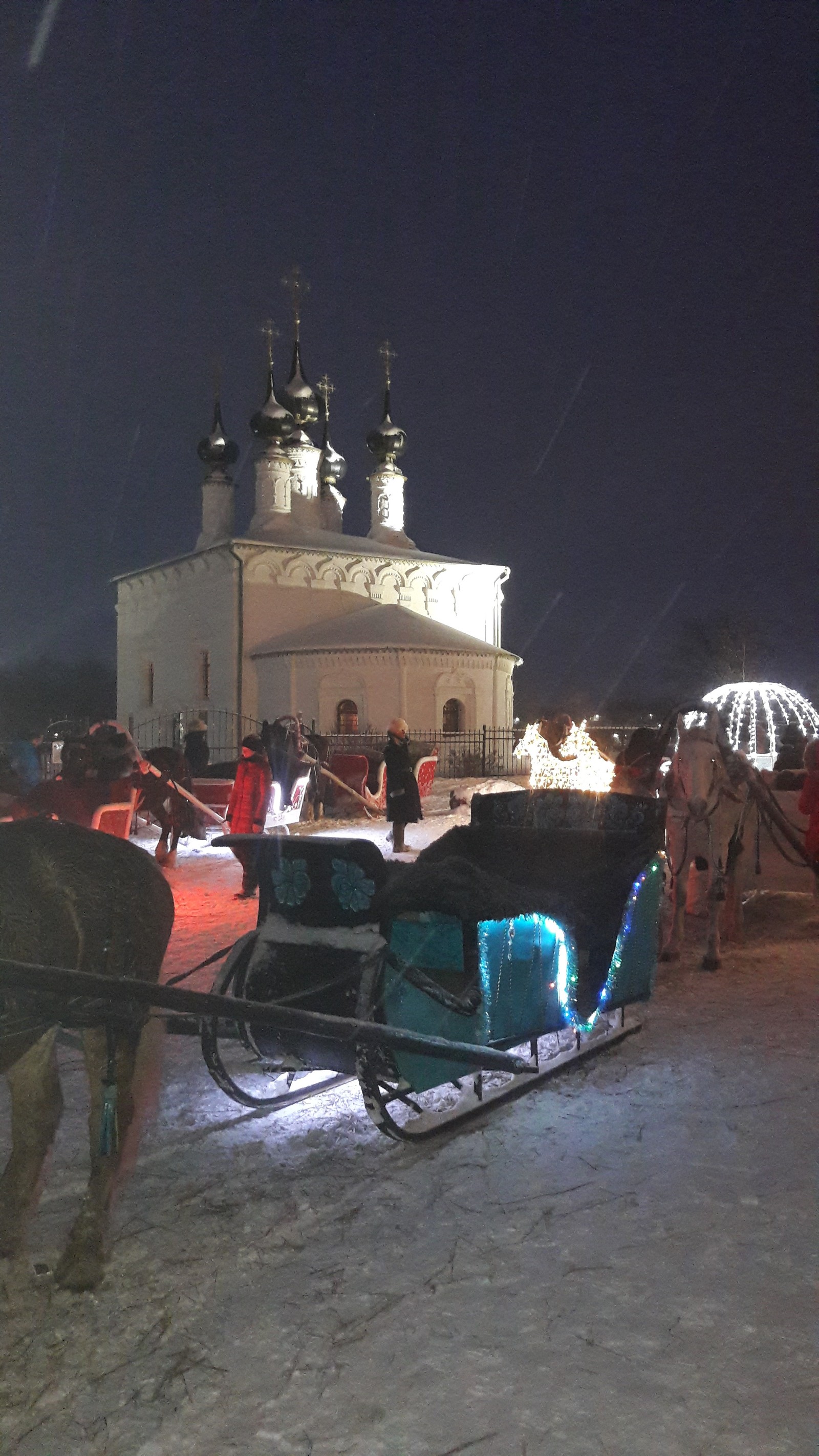 Taxi in Suzdal. - My, Horses, Sled, Longpost