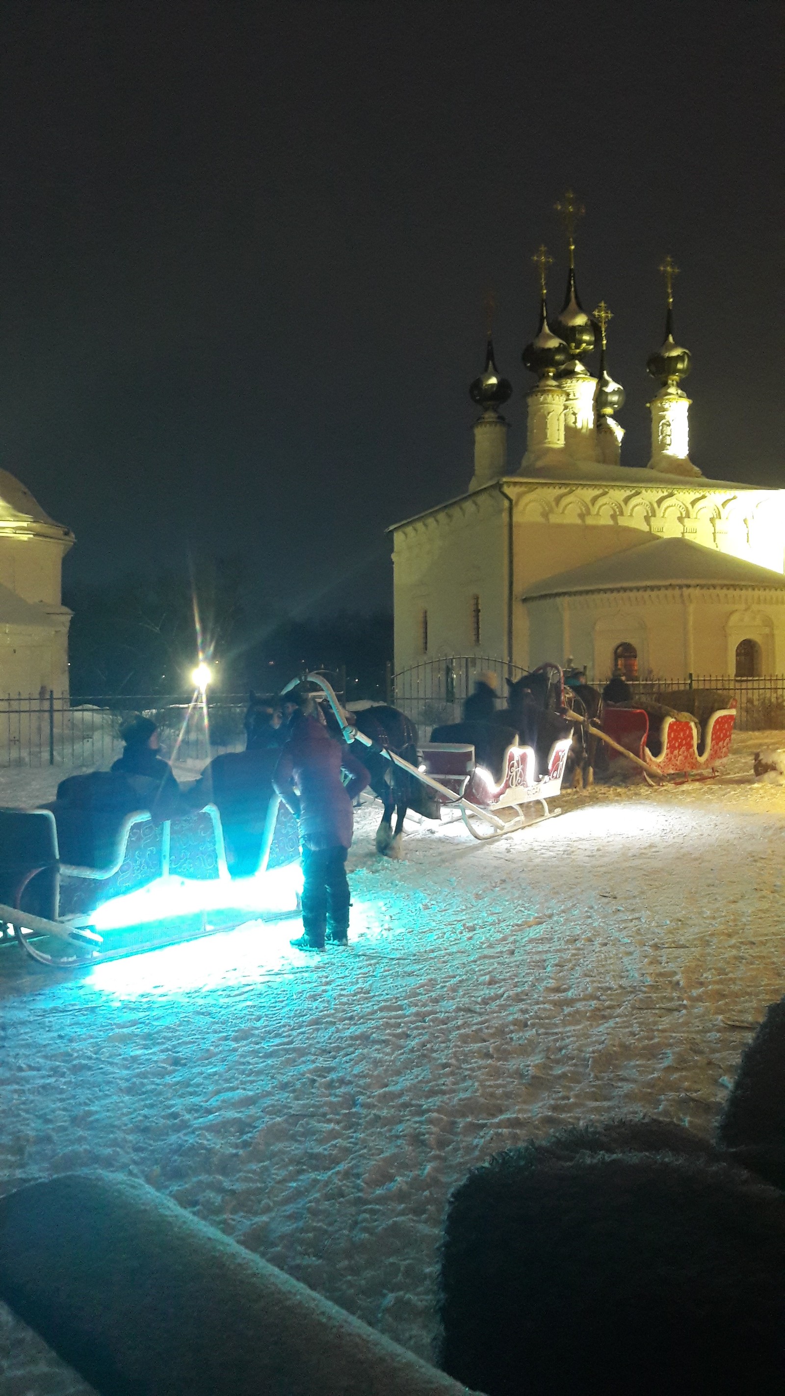 Taxi in Suzdal. - My, Horses, Sled, Longpost