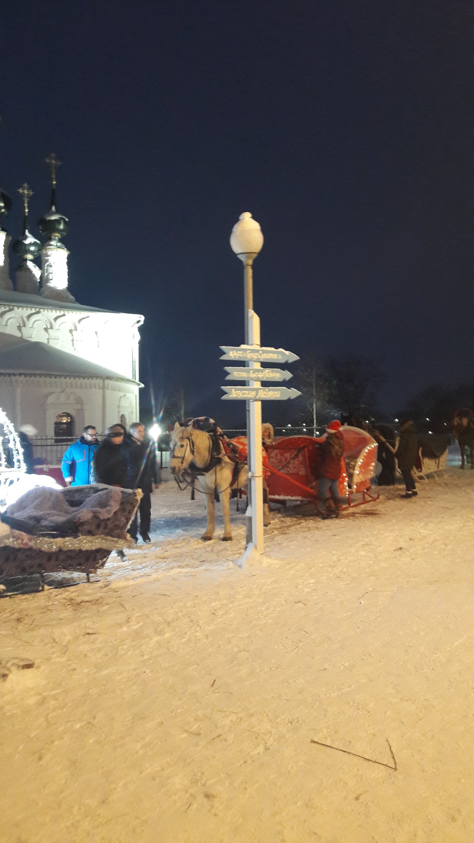 Taxi in Suzdal. - My, Horses, Sled, Longpost