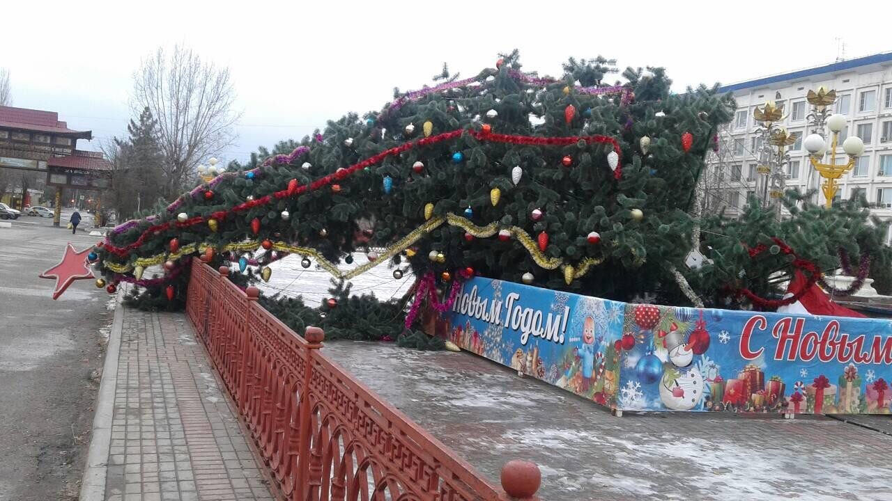 All! - New Year, Wind, Christmas tree, The fall, Elista, Kalmykia