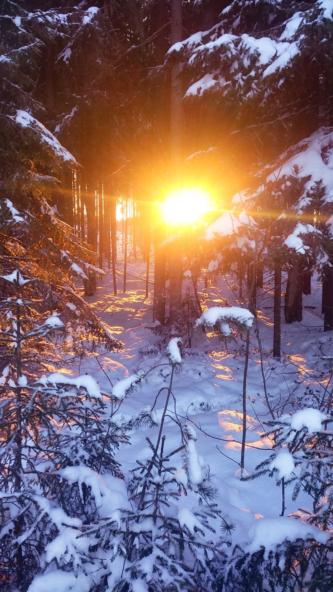 Snow Karelia. - My, The photo, Winter, Карелия, Longpost, Beginning photographer