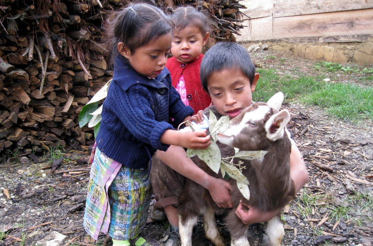 Life of a woman in a Guatemalan countryside - Clinic at the End of the Earth, Guatemala, Volunteering, Longpost