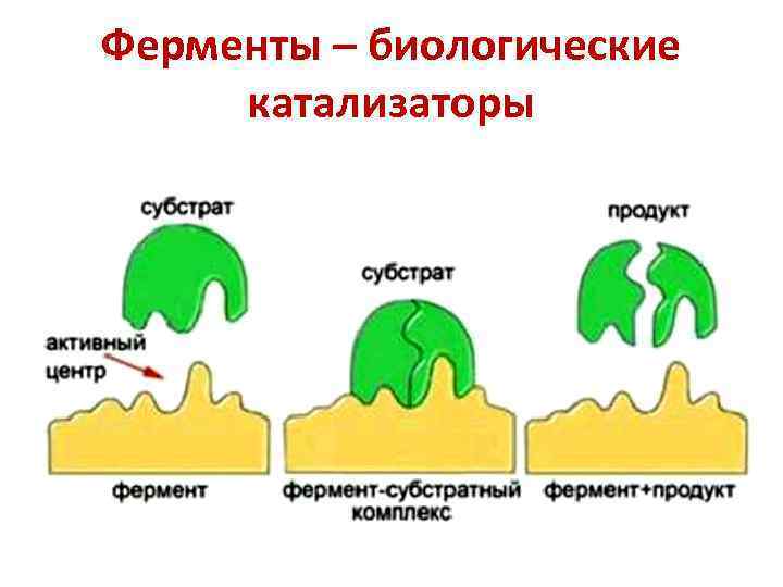 Nutritional supplements. How to understand? Part 2 - My, Food, Fancy food, Nutritional supplements, Food industry, Chemistry, Longpost, Education